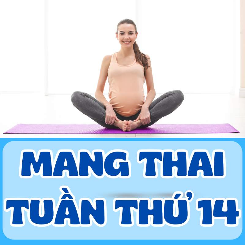 Mẹ bầu khỏe mạnh ở thai kỳ tuần thứ 8